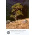 Landscapes and Lives