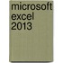 Microsoft Excel 2013