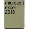 Microsoft Excel 2013 door Lynn Wermers