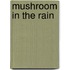 Mushroom in the Rain