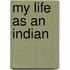 My Life As An Indian