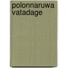 Polonnaruwa Vatadage door Ronald Cohn
