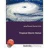 Tropical Storm Vamei by Ronald Cohn
