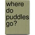 Where Do Puddles Go?