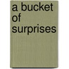 A Bucket of Surprises door Mark Stibbe