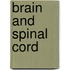 Brain And Spinal Cord