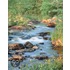 Environmental Science