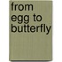 From Egg To Butterfly