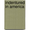 Indentured in America door Corrine Joy Brown