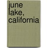 June Lake, California door Ronald Cohn
