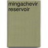 Mingachevir Reservoir by Nethanel Willy
