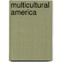 Multicultural America