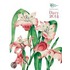 Rhs Pocket Diary 2014