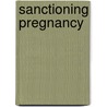Sanctioning Pregnancy door Helen Pattison