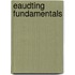 eAudting Fundamentals