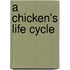 A Chicken's Life Cycle