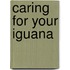 Caring for Your Iguana