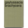 Gaylussacia Brachycera door Ronald Cohn