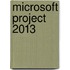 Microsoft Project 2013