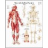 Musculoskeletal System door Authors Various