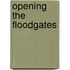 Opening the Floodgates