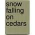 Snow Falling On Cedars