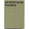 Strobilomyces Foveatus door Ronald Cohn