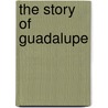 The Story of Guadalupe door Lisa Sousa