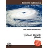 Typhoon Meranti (2004) door Ronald Cohn