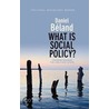 What is Social Policy? door Daniel Beland