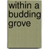 Within A Budding Grove