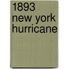 1893 New York Hurricane door Ronald Cohn