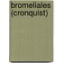 Bromeliales (Cronquist)