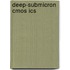 Deep-submicron Cmos Ics