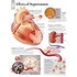 Effects of Hypertension