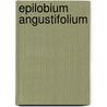 Epilobium Angustifolium door Ronald Cohn