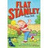 Flat Stanley Plays Ball