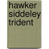 Hawker Siddeley Trident by Ronald Cohn