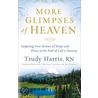 More Glimpses of Heaven door Trudy Rn Harris