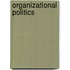 Organizational Politics