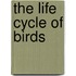 The Life Cycle of Birds