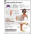 Understanding Menopause