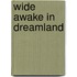 Wide Awake in Dreamland