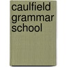 Caulfield Grammar School by Ronald Cohn