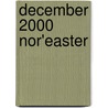 December 2000 Nor'easter door Ronald Cohn