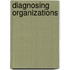 Diagnosing Organizations