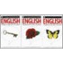 English Through Pictures