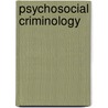 Psychosocial Criminology door Tony Jefferson
