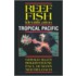 Reef Fish Identification