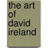 The Art of David Ireland